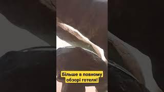 Regency plaza aqua park and spa resort. Головний басейн біля аквапарку.