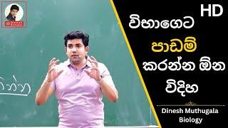 උසස් පෙළ රහස් | A/L Study tips by Dr.Dinesh Muthugala | #dineshmuthugala | #muthugalasir | EP26