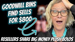 Goodwill Bins Plush Sells for $800 Stuffed Animal Resellers Share Big Money BOLOs in 2024