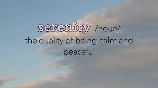 The New York Times Annual Vocabulary Video Challenge 2020 - serenity-