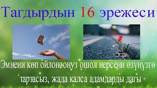 Тагдырдын 16 эрежеси. Эмнени көп ойлонсоңуз ошол нерсени өзүңүзгө тартасыз. Жада калса адамдарды да