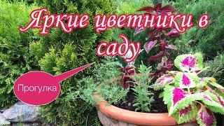 Яркие ЦВЕТНИКИ нашего сада.Как сделать цветники декоративными с самого начала лета?Цветочные вазоны.