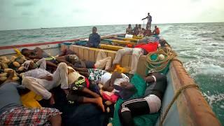 Sardine fishing in Senegal: a perilous enterprise