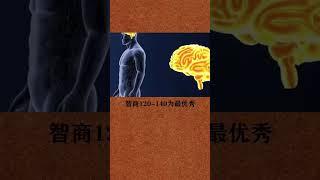 愛因斯坦的智商160，你的呢？