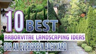 10 Best Arborvitae Landscaping Ideas For An Evergreen Backyard
