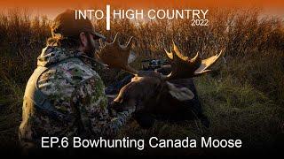 Bowhunting Canada Moose