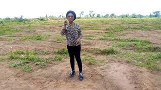 Land For Sale at Western Hiltop Estate Ikola Alagbado with C of O 2348033920605