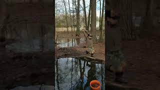 Bodey rope swing!!! #country #swing #fun