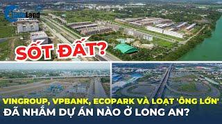“Ông lớn” Vingroup, MIK Group, BIM Group, Ecopark…đã nhắm dự án nào ở Long An? | CafeLand