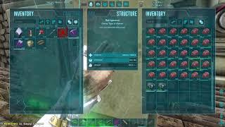 100 Day Ark Challenge #10