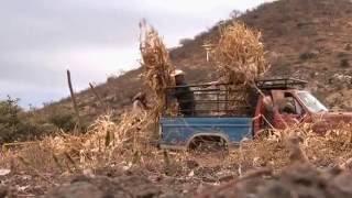 The Other America - Power to the People - Trailer