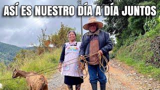 La vida tranquila en el pueblo: lo que hacemos en nuestro día a día juntos