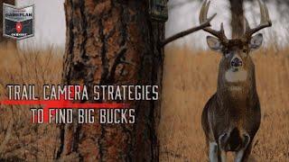 Trail Camera Strategies to Find Big Bucks | OnX Hunt Gameplan