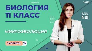 Микроэволюция. Видеоурок 11. Биология 11 класс