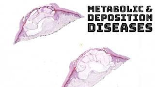 Metabolism & Deposition Diseases in Skin (dermatology dermpath pathology board review)