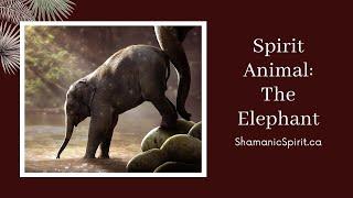 Animal Spirit Guide - The Elephant (Shamanic Power Animal). Elephant Symbolism.