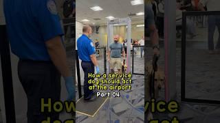 How a service dog goes through airport security