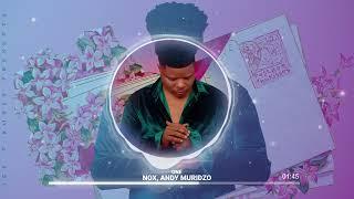 Nox ft Andy Muridzo - One