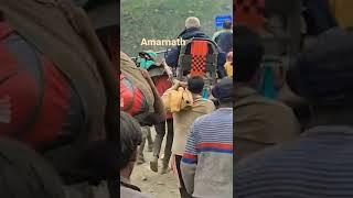 #kailash #amarnath #shorts #bambamnath