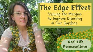 The Edge Effect: How to Value the Margins and Enhance Garden Biodiversity