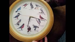 national audubon society birdsong clock