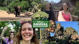 Animal Kingdom Vlog Disneyworld Florida