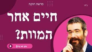 חוקת - יש חיים אחר המוות? מדוע תמה משה על מצוות פרה אדומה?