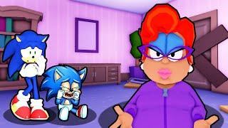 SONIC AND BABY SONIC ESCAPE CRAZY CAT LADY IN ROBLOX