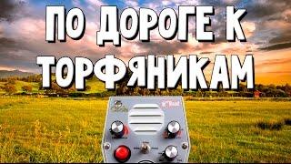 По дороге к торфяникам. Поиск с металлоискателем.