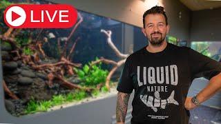 Aquascaping Q&A Livestream!