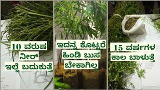 ವಿಶಿಷ್ಟ  ಮೇವಿನ ತಳಿಗಳು| Best fodder crops