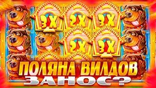 ПОЛЯНА ВИЛДОВ В СЛОТЕ The Dog House! / ЗАНОС В СОБАКАХ / ЗАНОСЫ НЕДЕЛИ / ДОРОГИЕ БОНУСКИ