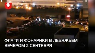 Люди с фонариками и флагами танцуют в Лебяжьем