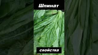 Шпинат, овощ, питательные вещества #shorts