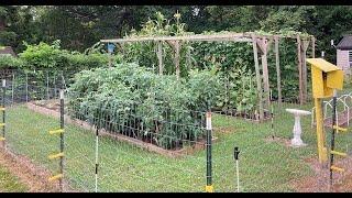 Mittleider Garden Update - Spaghetti Squash Planted - 2024 @LDSPrepper