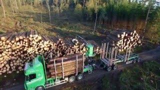 Responsible forestry - Södra