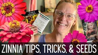 ZINNIAS: Tips, Tricks, & Seeds  || All About Zinnias || How To Grow Zinnias From Seed