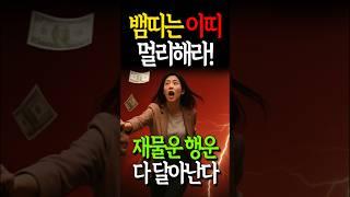 2025년하반기 뱀띠는 이띠 반드시 멀리해라! 재물운 행운 다 달아난다 상극띠3가지 복주는띠3가지 #뱀띠운세 #뱀띠 #하반기운세 #재물운 #재물운상승 #풍수인테리어 #풍수 #운세