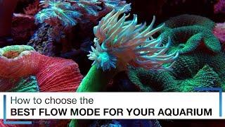 How to Choose the Best Flow Mode for Your Aquarium Wave Pumps