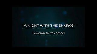 Night Shark Diving (Fakarava South Channel)