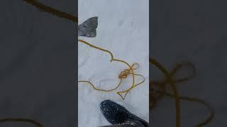 Erie steelhead fishing