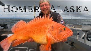 3 Days Fishing Homer Alaska (Offshore Adventure)