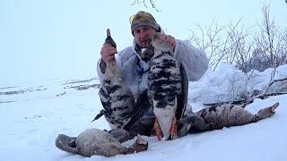 ОХОТА НА ГУСЯ НА КРАЙНЕМ СЕВЕРЕ \ Goose hunting