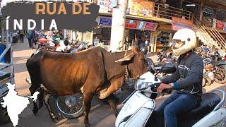 ÍNDIA- Pelas RUAS || Comida de Rua - Índia - ft. Food Walks 