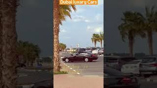 Dubai mein Morning walk/ Pandey ji Vlogger/Dubai mini vlog / #shorts