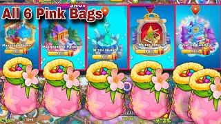 All 6 Pink Bags on Makeover Salon,Masquerade,Witch Island,Music,Winter, Family island Pink Bags