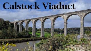 Calstock Viaduct - Tamar Valley Line