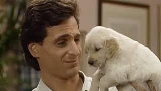 The Tanners Adopt Comet [Full house]