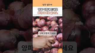 양파 이렇게 드세요, 보약이 따로 없어요! 고혈압·고지혈증에 효과#건강정보 #건강
