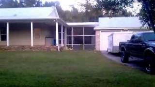 20225 Buck Crest Lane, Alva, Florida
